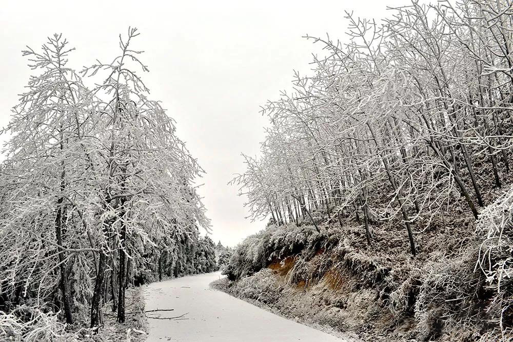 雪景3